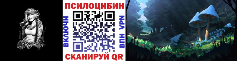 Купить где  Фрязино  Галлюциногенные грибы Cubensis 